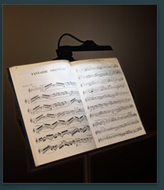 Lotus Light on Stand